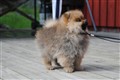 DSC_0167.JPG